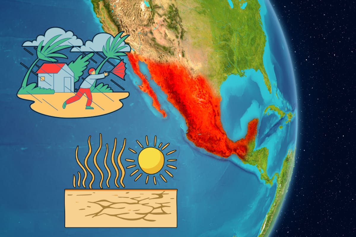 ¿Cuándo será más intenso el fenómeno climático de El Niño? Las fechas que el SMN quiere que conozcas este año