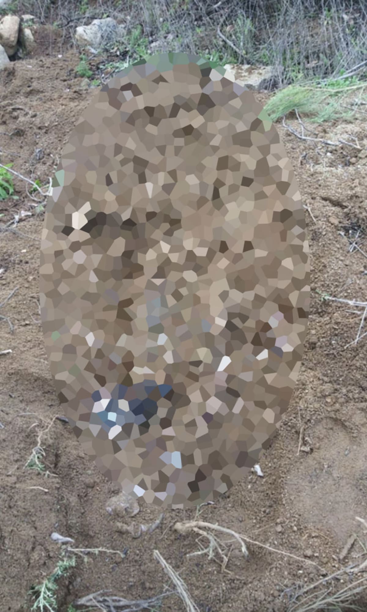 Hallazgo de cuerpos en Hacienda las Delicias III.