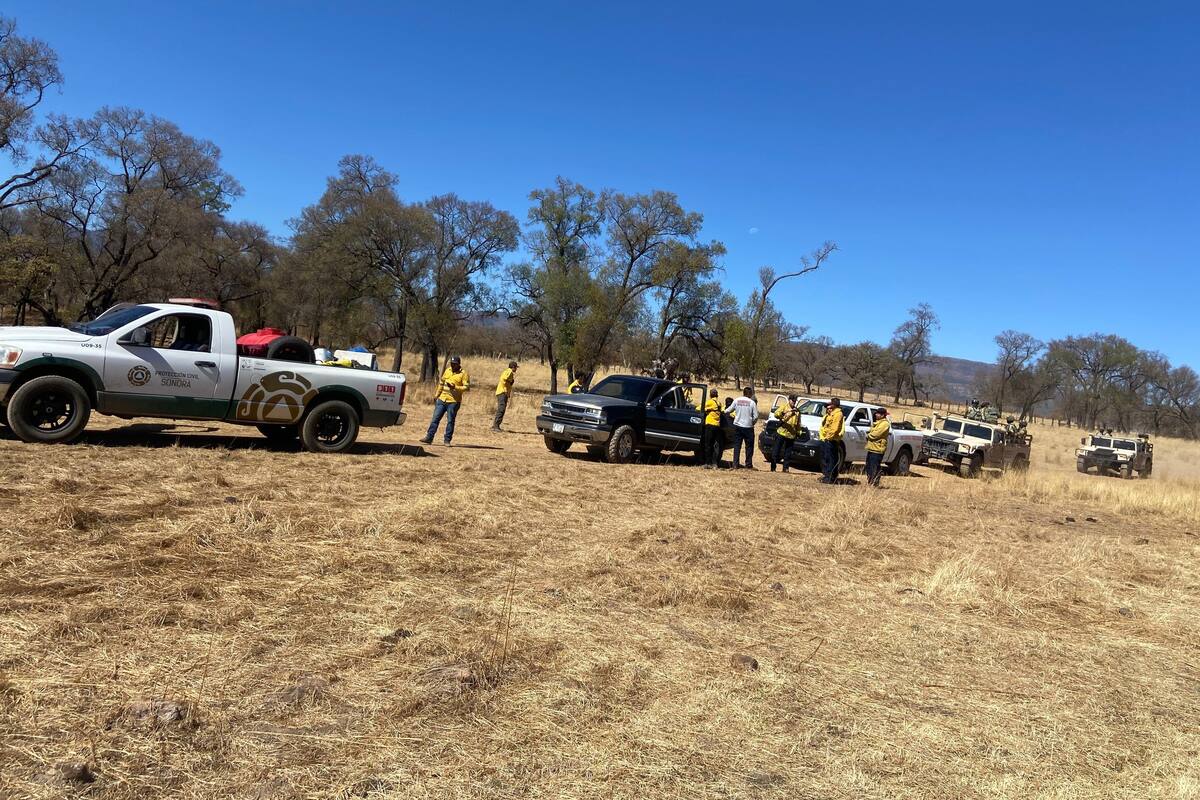 Controlan incendio forestal en Yécora; trabajan en prevención
