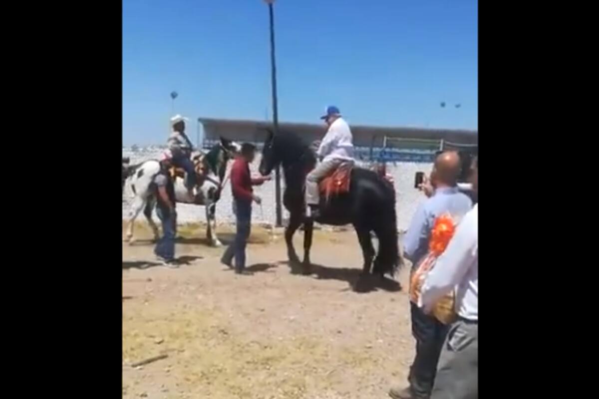 Monta AMLO caballo en Ciudad Camargo, Chihuahua