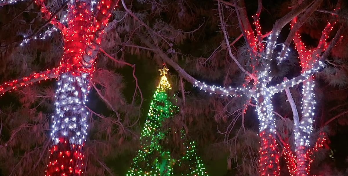 Un paraíso invernal junto al mar: así celebra SeaWorld San Diego la Navidad. | Foto: cortesía