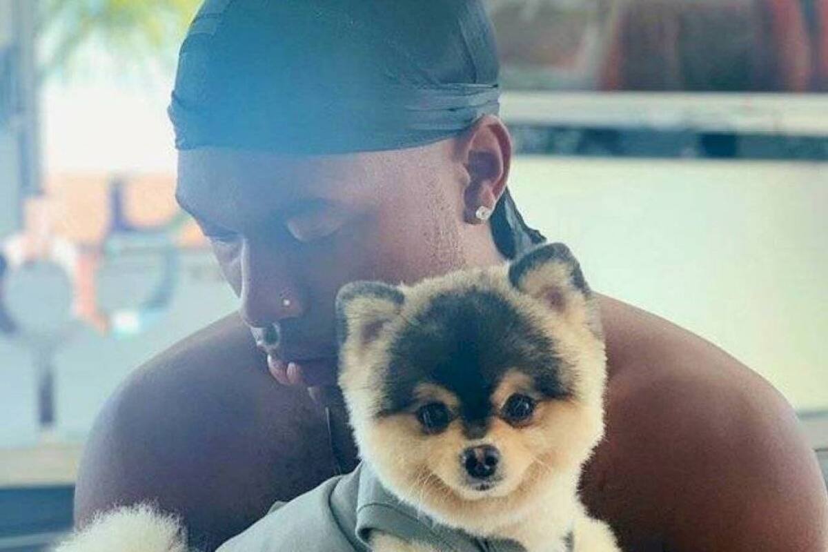 Perrito de Daniel Sturridge fue localizado en Los Ángeles