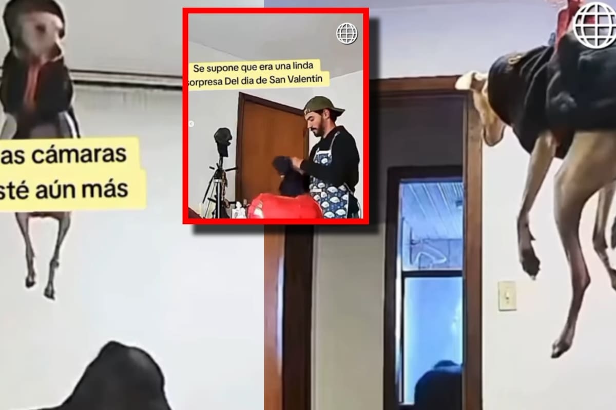Quiso sorprender a su pareja con globos… pero ató a su perro y terminó volando: “Lo compararon con Dobby de Harry Potter”