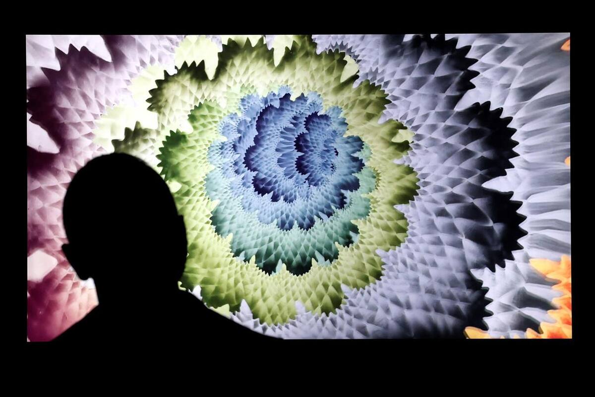 Subasta del primer NFT en México marca historia en el arte contemporáneo