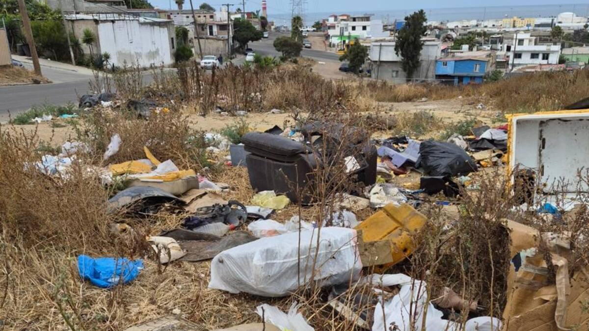 Entre pedazos de muebles y animales muertos, crece tiradero en calle de Rosarito