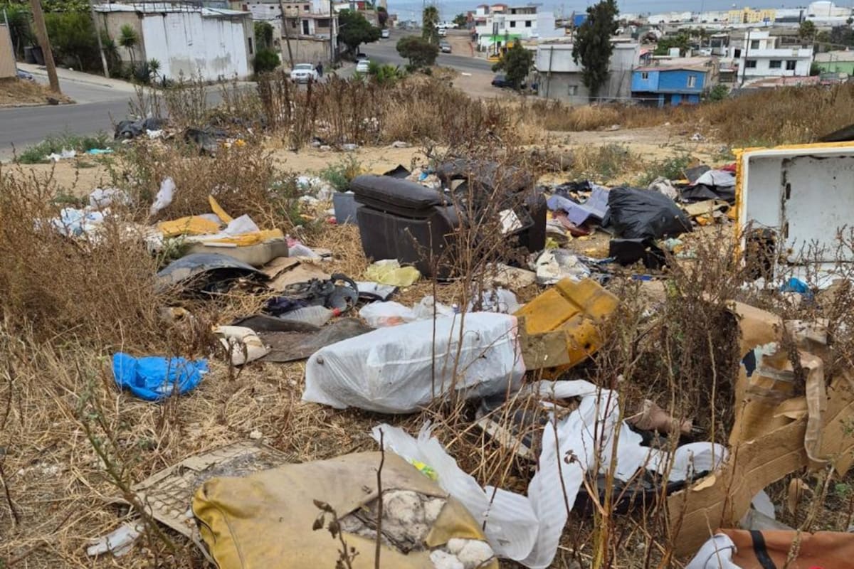 Entre pedazos de muebles y animales muertos, crece tiradero en calle de Rosarito
