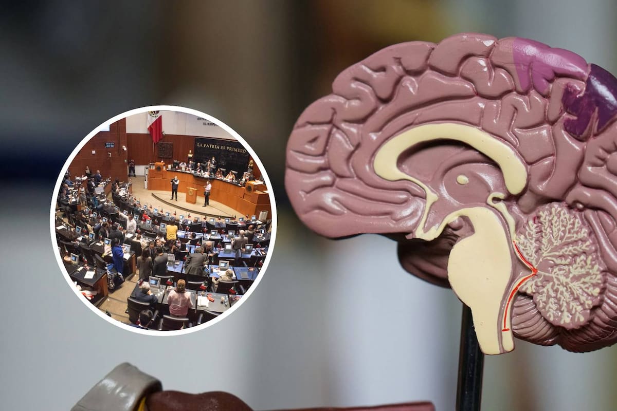 Iniciativa del Senado propone exigir por ley capacitación en salud mental en empresas para prevenir la ansiedad, depresión y burnout de los empleados en México