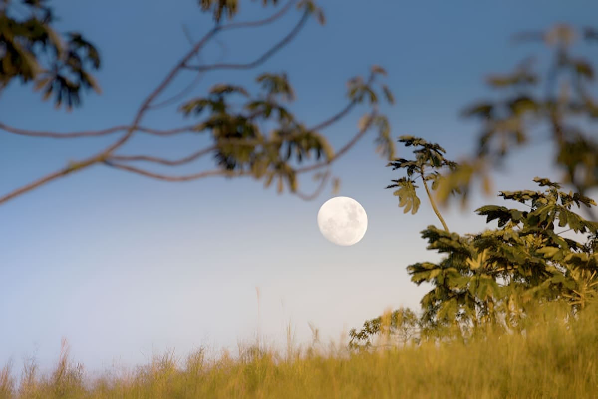¿Por qué es posible ver la Luna en pleno día? Científico de la NASA responde