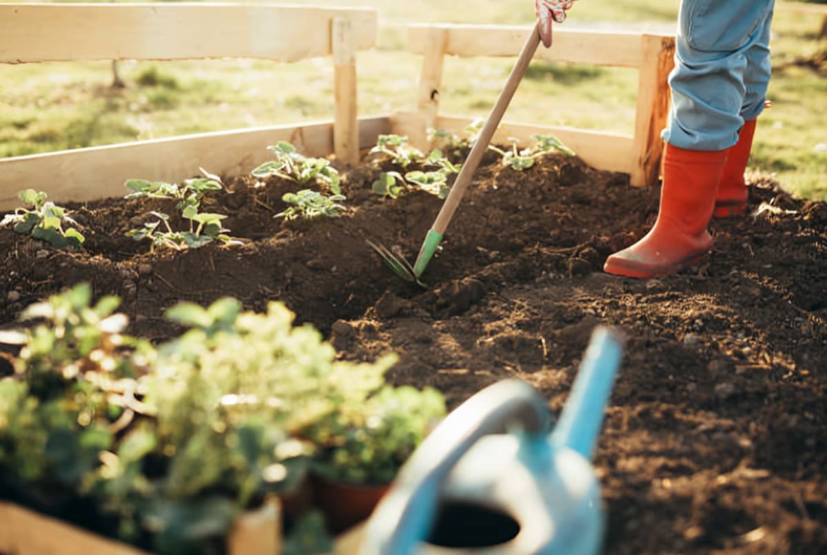 Beneficios de la jardinería | Foto: Especial (iStock)