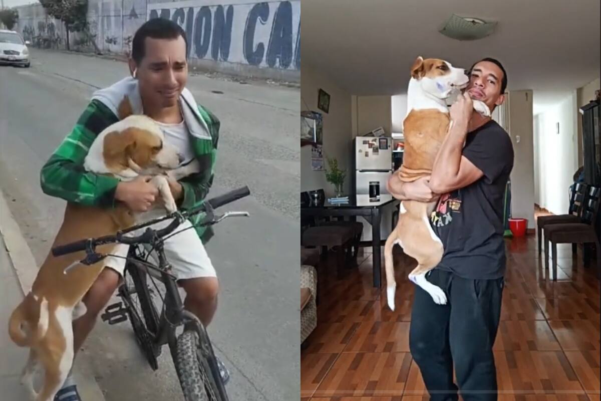 El conmovedor reencuentro entre un hombre y su perro perdido toca los corazones en redes sociales (VIDEO)