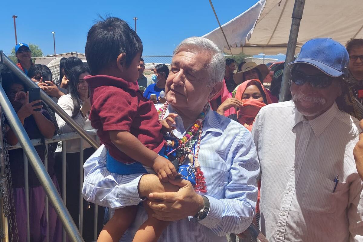Seris rechazan propuesta de AMLO de dejar de otorgar permisos para cazar al borrego cimarrón