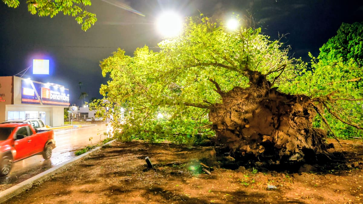 Sonora activa Puesto de Comando por temporada de lluvias y ciclones: coordinará emergencias por inundaciones, fuertes vientos y deslaves