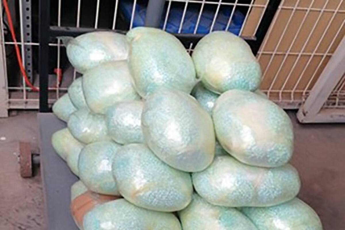 FGR incinera más de dos millones de pastillas de fentanilo