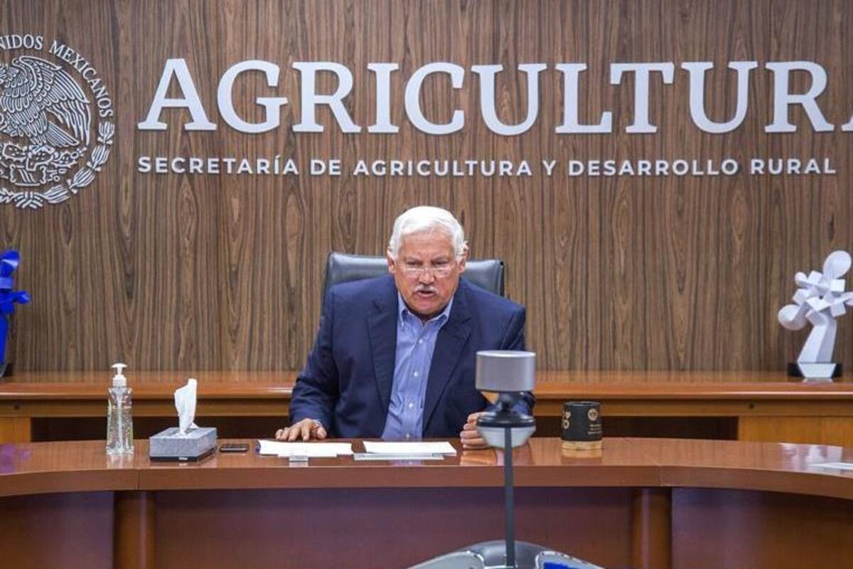 "Agricultura no puede parar ante Covid-19", México en reunión de la FAO