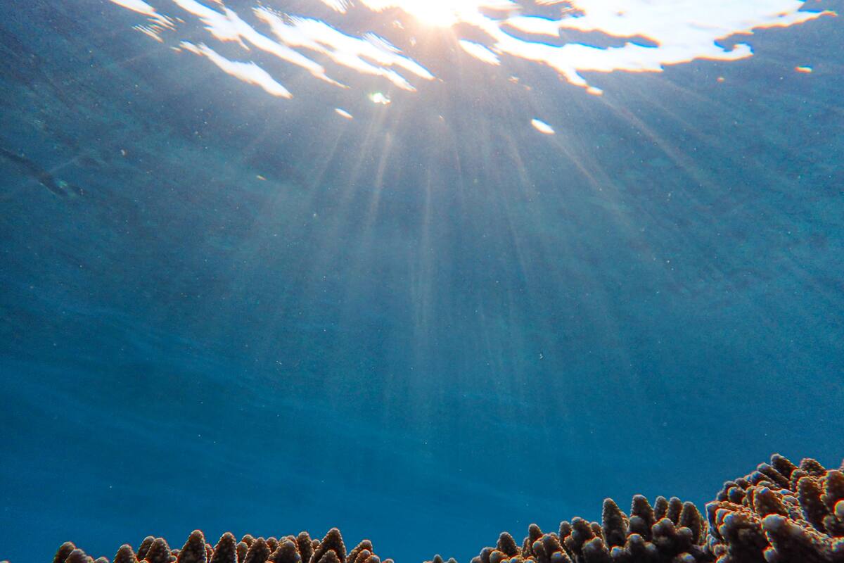 Encuentran un templo de dos mil años de una civilización en Italia