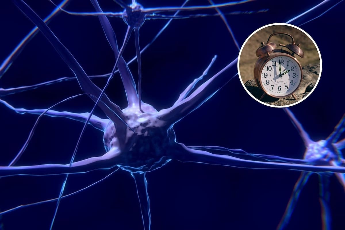 No es tu imaginación: la ciencia explica por qué el tiempo vuela cuando eres feliz