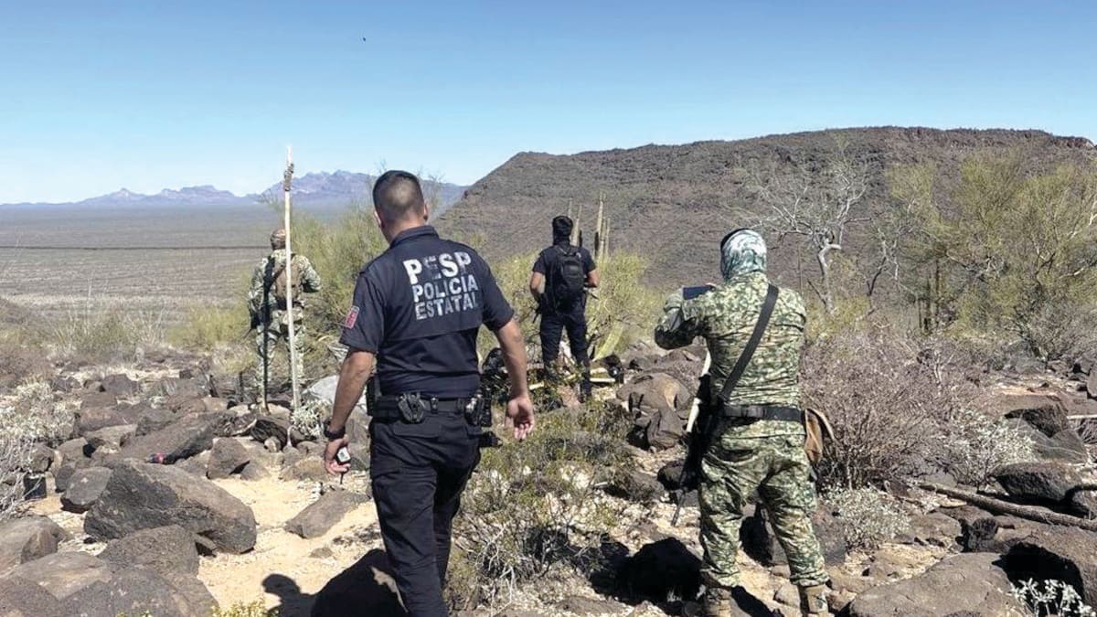 Operativos en la frontera de Nogales y Sonoyta dejan armas aseguradas, vehículo robado recuperado y un punto de halconeo destruido