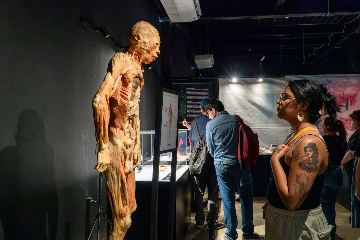 La exposición “Our Body” permite a los estudiantes conocer de cerca estructuras anatómicas y reforzar los contenidos que estudian en el aula. Foto: Cortesía