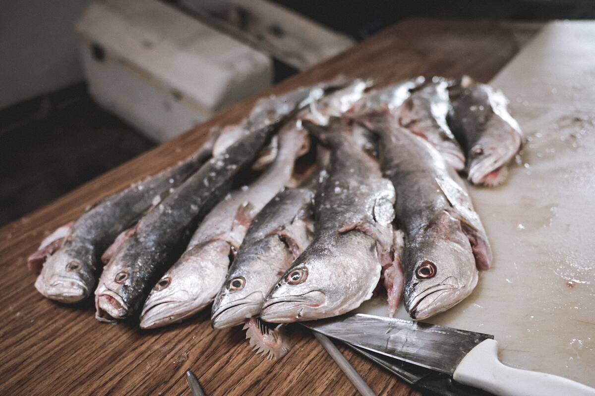 Esperan pescaderías buenas ventas durante cuaresma