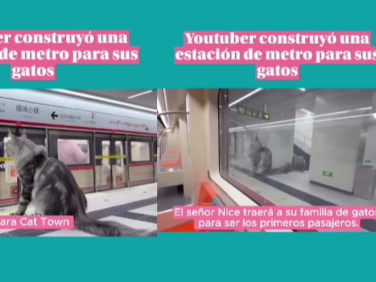 Influencer construye una estación de metro exclusiva para sus gatos y se vuelve viral