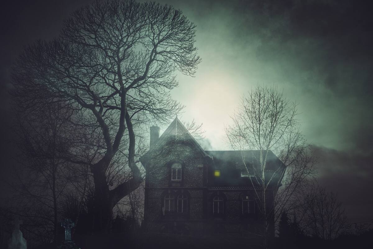 Una compañía ofrece mil 300 dólares por ver 13 películas de terror en 10 días
