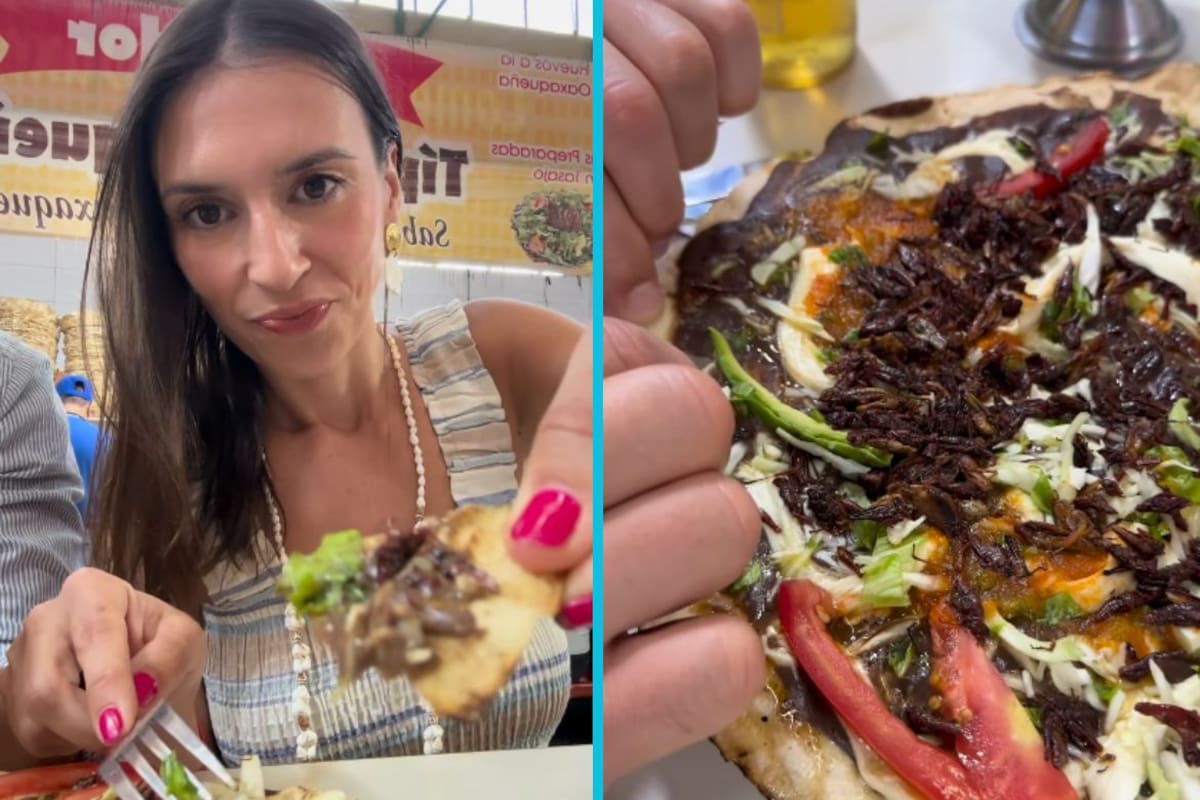 Turista española que viaja por el mundo para comer insectos peligrosos relata que en México terminó enferma del estómago después de probar su gastronomía (VIDEO)