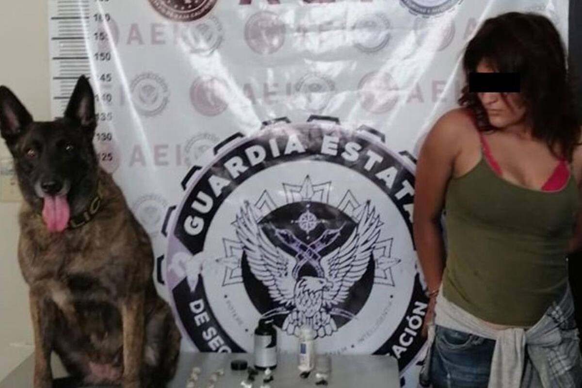 Arrestan a mujer con metanfetamina durante cateo en Tecate