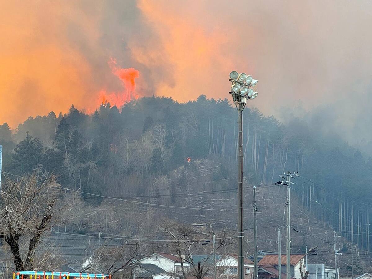 Incendios forestales en Japón