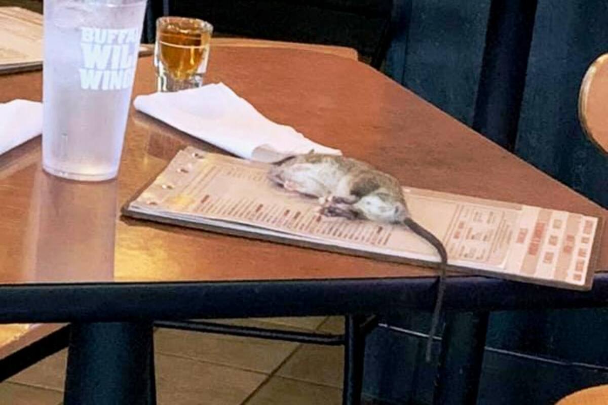 Rata aterriza en mesa de mujer en Buffalo Wild Wings en Los Ángeles