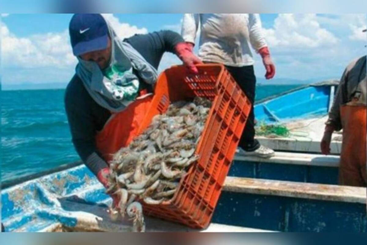 Existe demanda de productos pesqueros pero mucha burocracia: Canainpesca