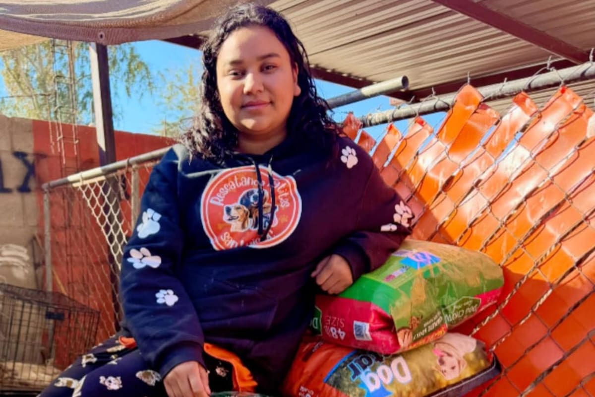 Pide croquetas para albergue como regalo de cumpleaños