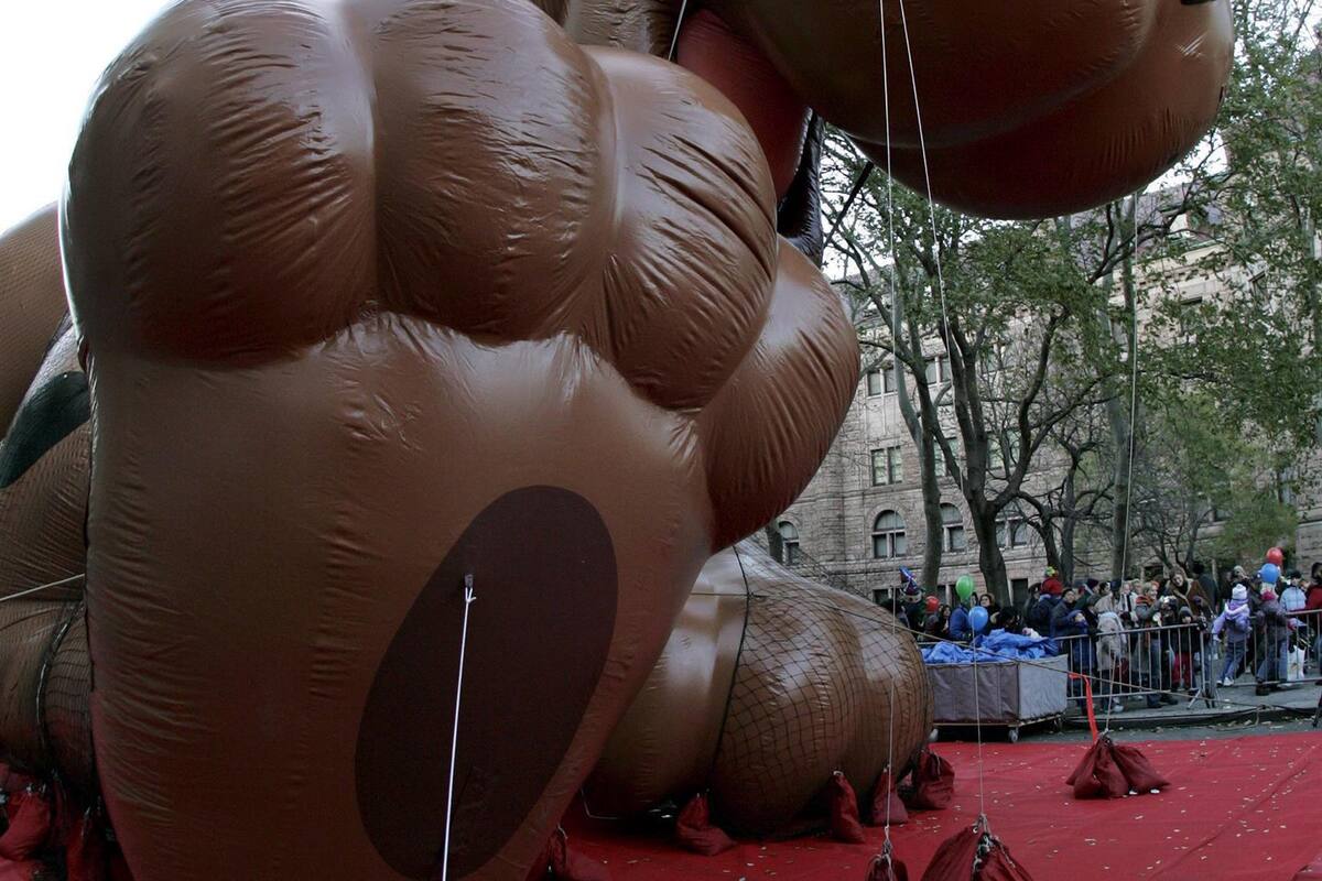 Rentan camioneta de Scooby-doo para celebrar aniversario