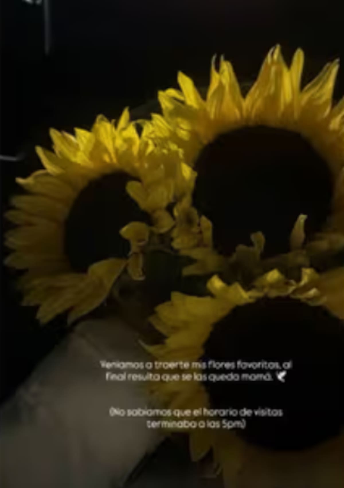 Fer Moreno recuerda a su hijo Atlas a tres meses de su nacimiento: este es el regalo que no pudo entregar | Instagram @fershymp