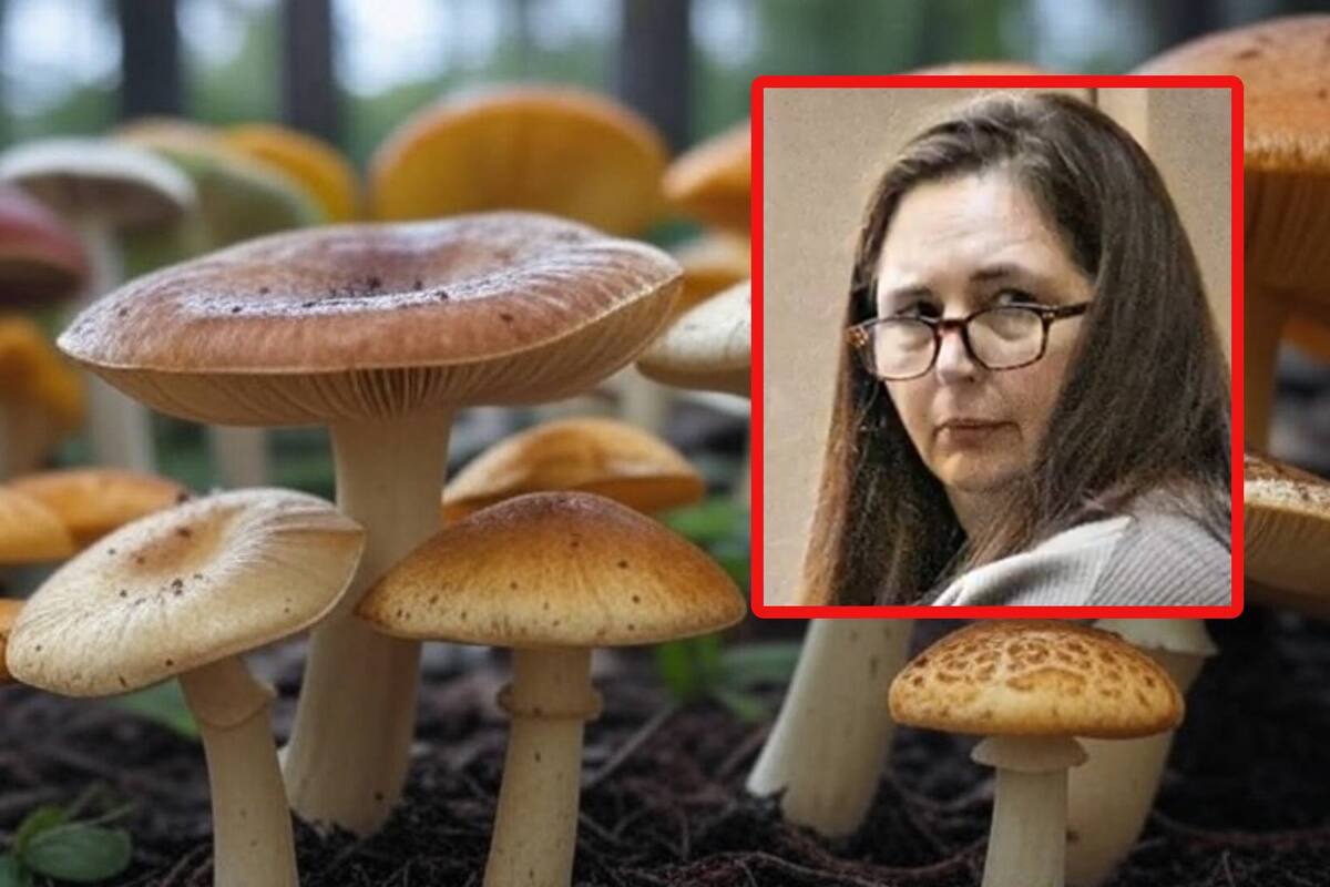 A juicio Erin Patterson, la mujer acusada de asesinar a tres personas tras preparar comida con hongos tóxicos en Australia