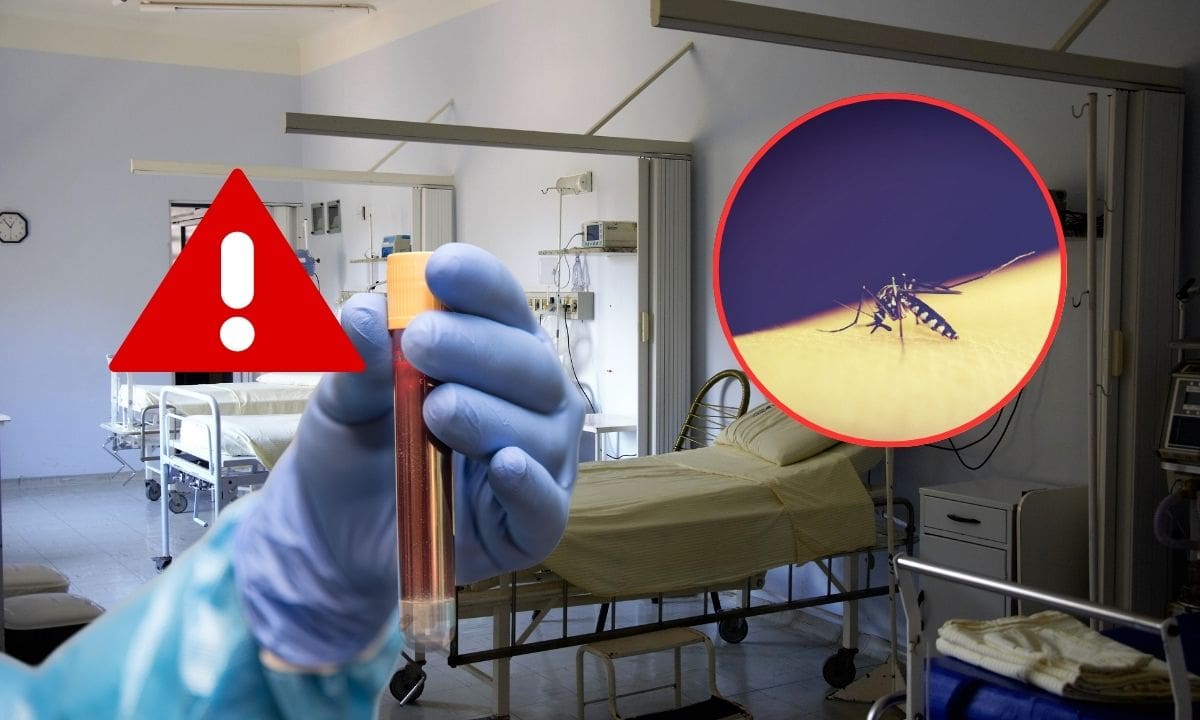 De los 969 casos confirmados de dengue en Sonora, 552 fueron clasificados con signos de alarma y 15 como dengue grave. FOTO: ESPECIAL