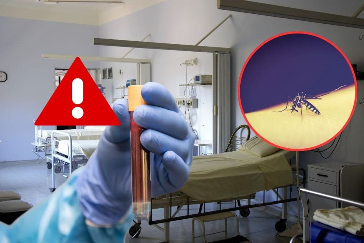 Casi 6 de cada 10 casos de dengue en Sonora fueron clasificados con signos de alarma; esta fue la señal más frecuente
