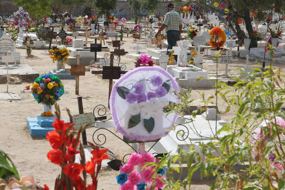 Aumentan más del 50% servicios en cementerios