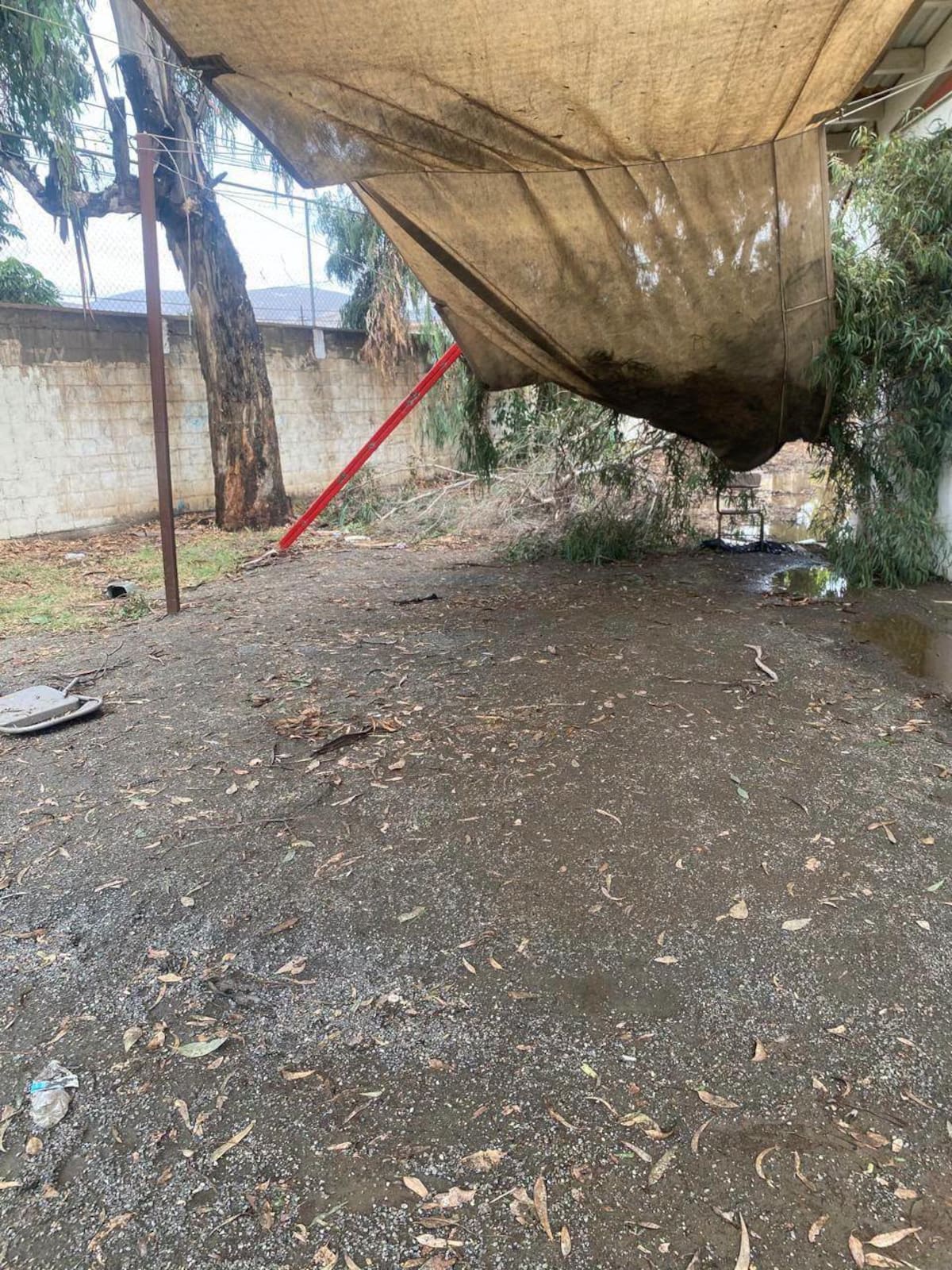 La Secundaria Diurna 2 reportó inundaciones y daños en sus instalaciones tras el paso de la tormenta Rachel. Foto: Cortesía