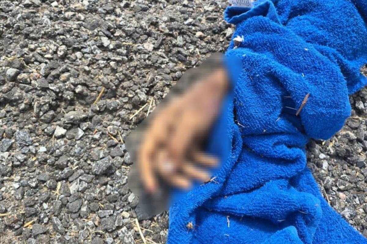 Hallan restos humanos cerca de la carretera federal 5