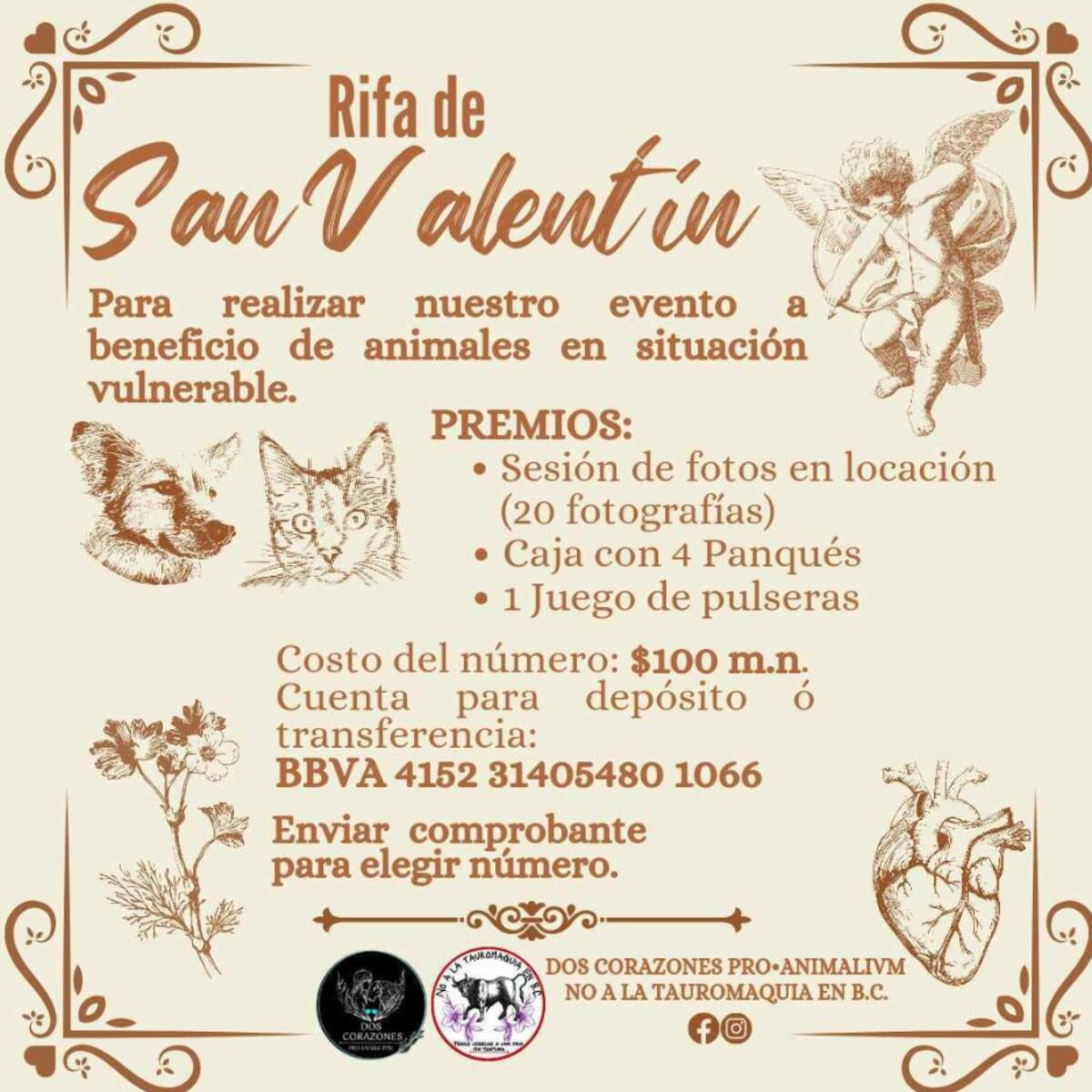 Rifa animales