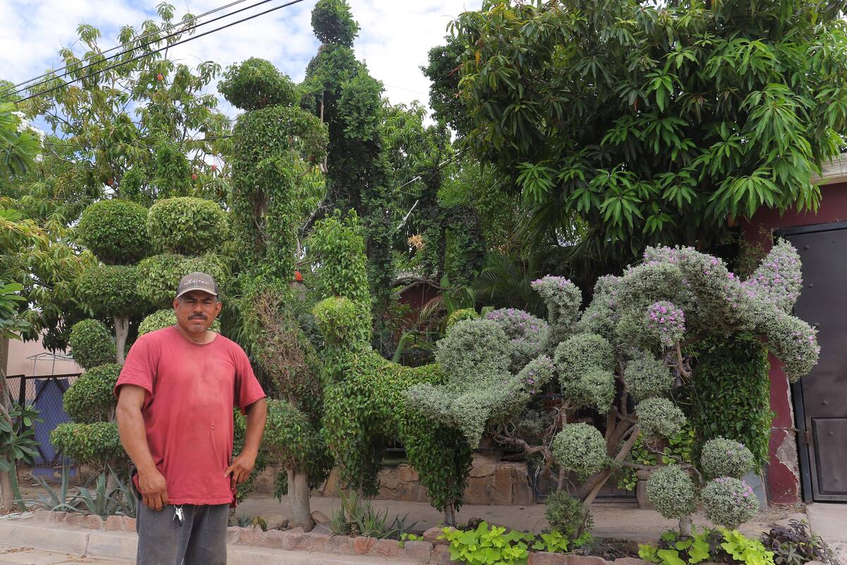 Es un escultor de l a naturaleza