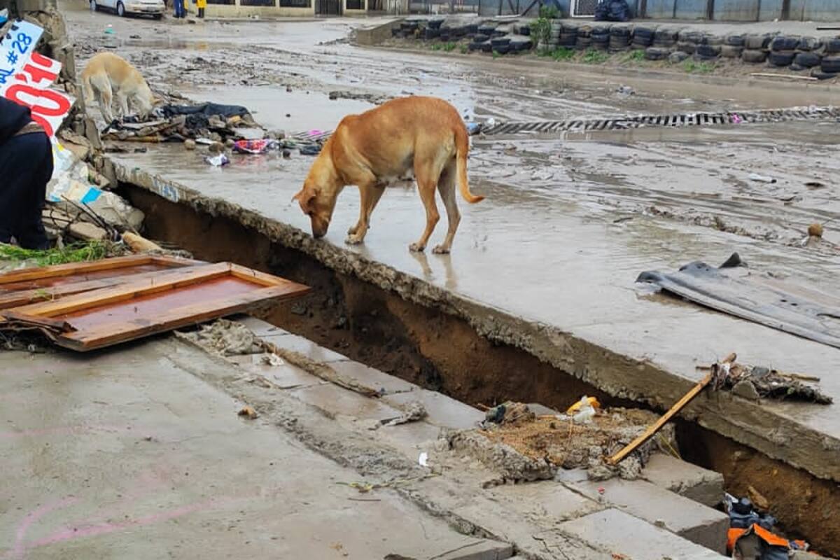 Denuncian vecinos de Hacienda las Fuentes inundación por drenaje
