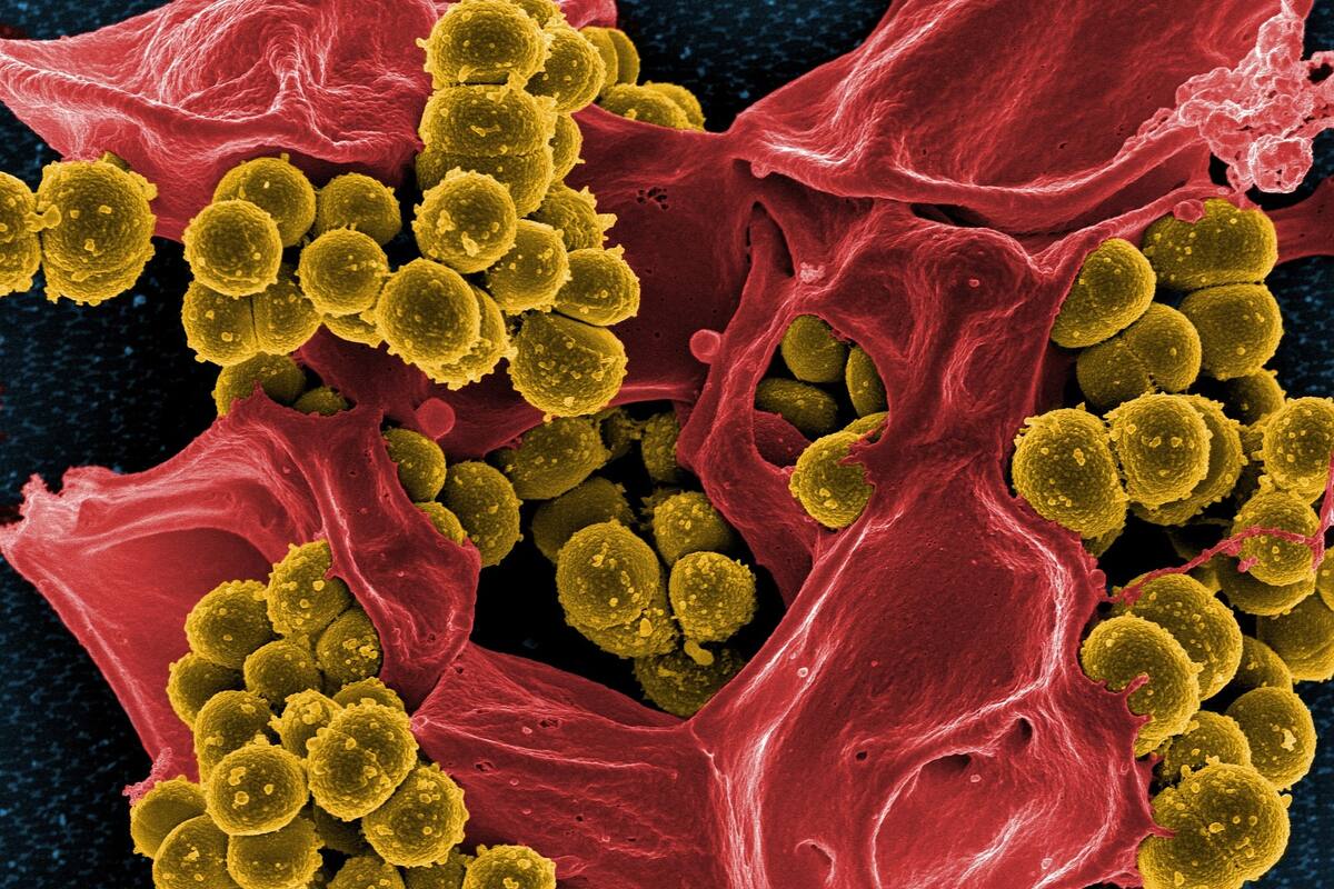 Peligrosidad del coronavirus radica en la velocidad en la que se reproduce: Biólogo