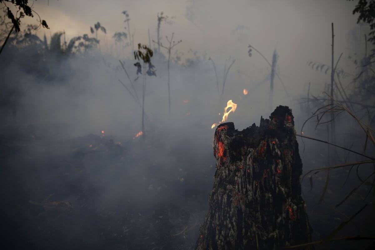 EU no apoya la ayuda del G7 a Brasil por incendio en el Amazonas