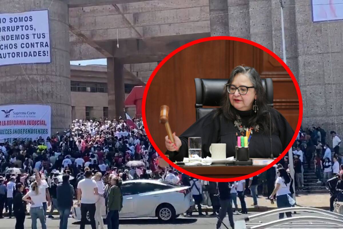 Magistrados y jueces van contra diputados plurinominales de Morena y aliados: ¿Pueden quitarle legisladores?