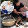 ¿Qué hacer si tu perro sufre un golpe de calor? Veterinario explica cómo actuar en una emergencia