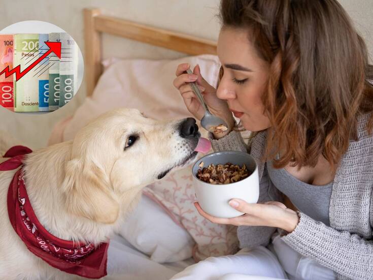 De sobras a croquetas: El gasto en comida para mascotas crece en México y hogares destinan hasta 462 pesos mensuales
