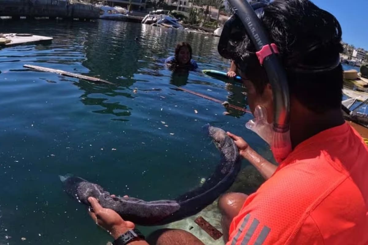 Mientras se reportan casi 900 toneladas de hidrocarburo recolectadas tras derrame en Veracruz y Tabasco, Gobierno de México anuncia creación de Observatorio del Golfo para monitorear cambio climático y biodiversidad