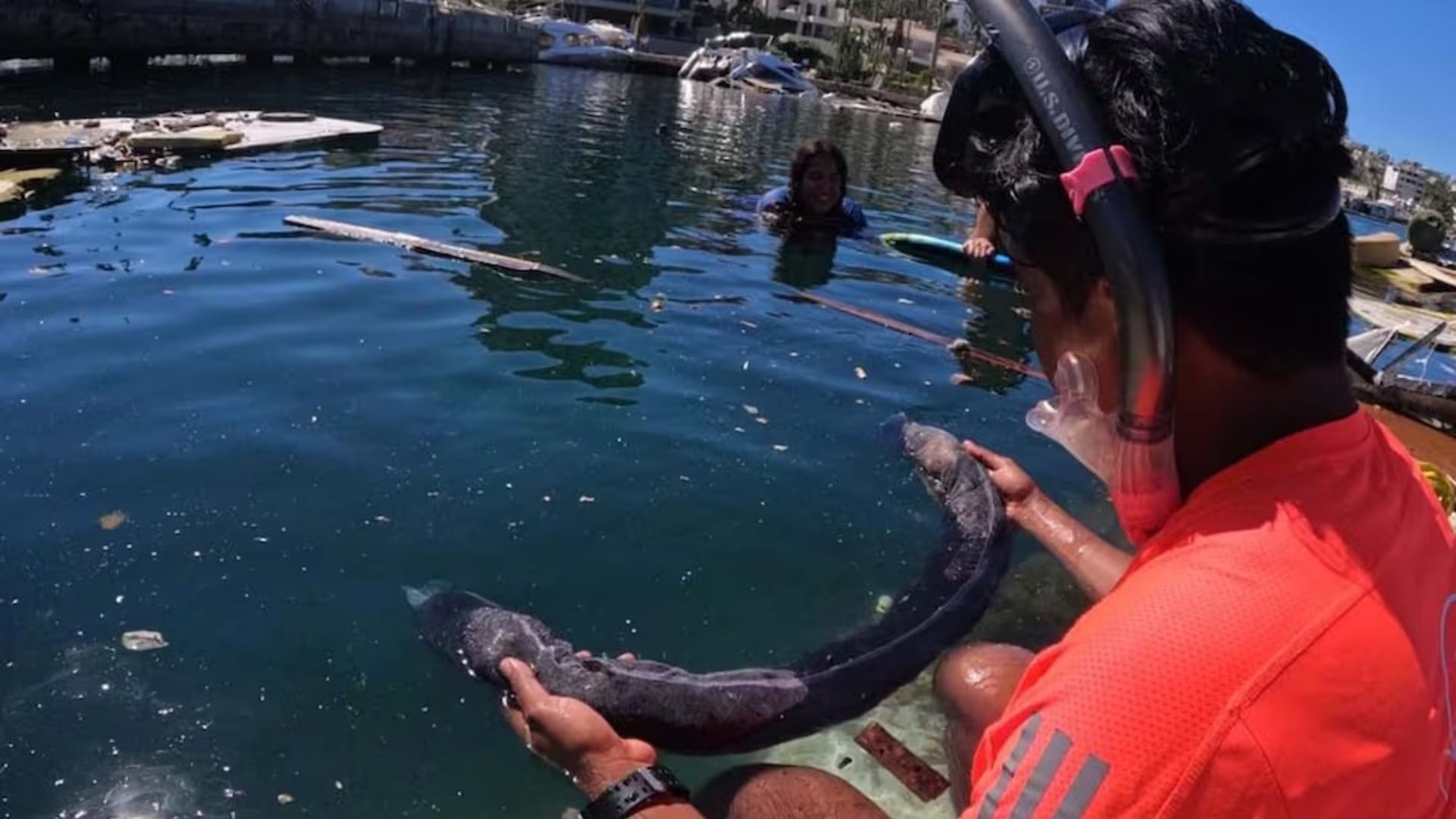 Autoridades reportaron la recolección de 889.4 toneladas de hidrocarburo tras el derrame en el Golfo de México. /El Universal