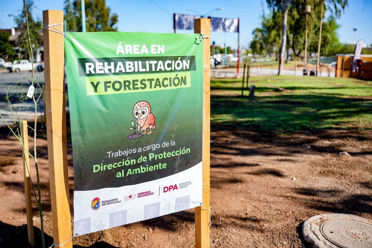 Plantarán más de mil árboles nativos en el Centro Cívico y López Mateos